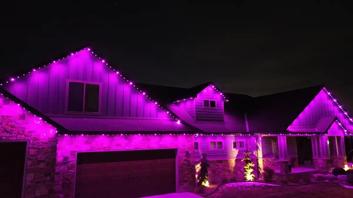 Seasonal lighting display on a South Carolina property